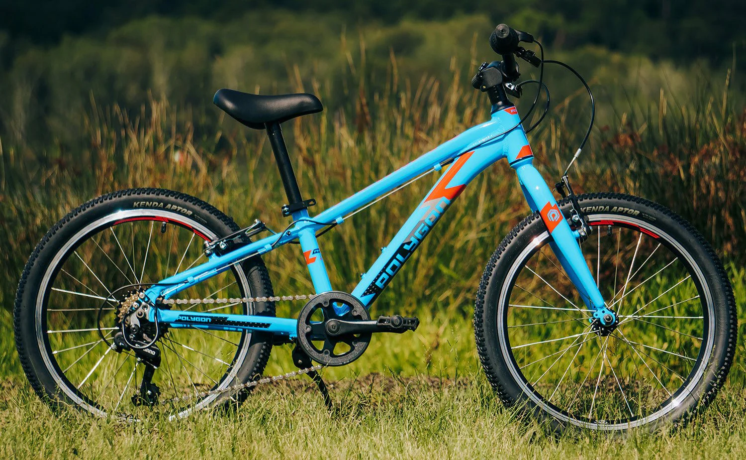Polygon Premier 20 Ultralight Kids Bike - Light Blue - Image 3